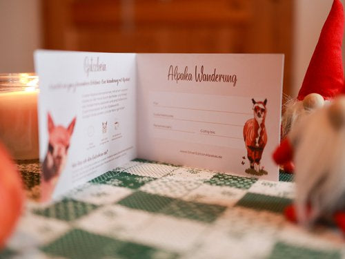 Weihnachtspaket Superflausch