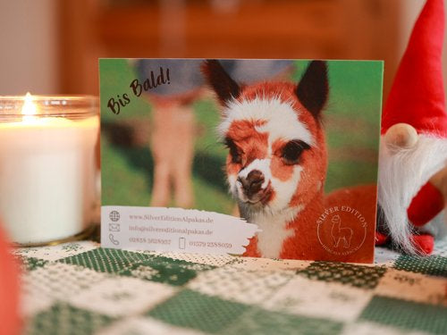 Weihnachtspaket Superflausch