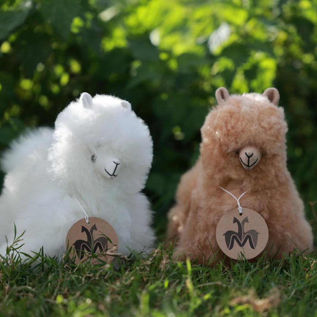 Seifen & Geschenkideen