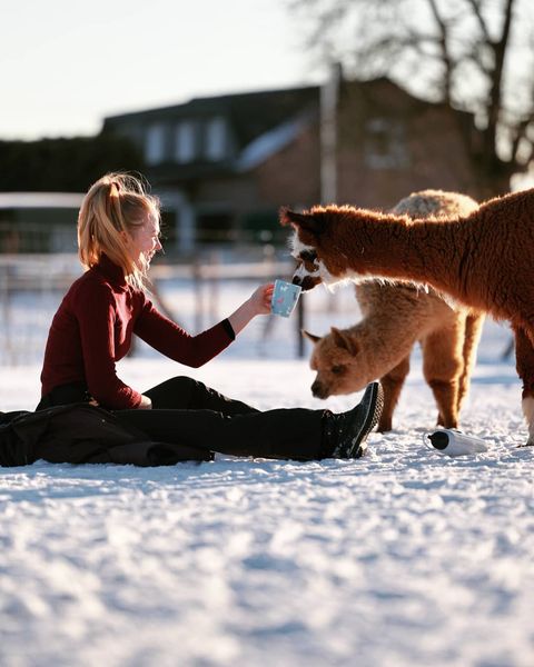 Frau im Schnee teilt einen heißen Kakao mit zwei Alpakas bei einer Winter-Schnupperstunde