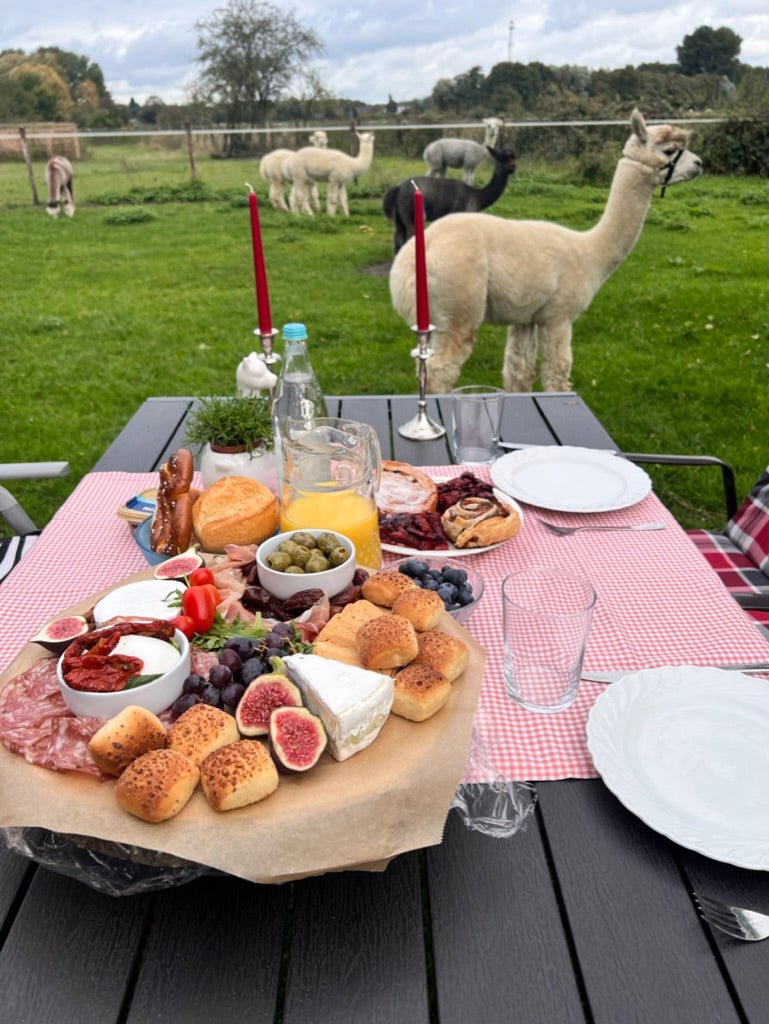 Alpaka-Picknick am Niederrhein – Erlebnis auf der Farm in Kevelaer